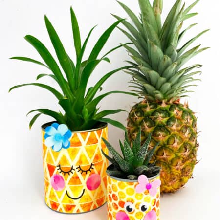 Pineapple craft