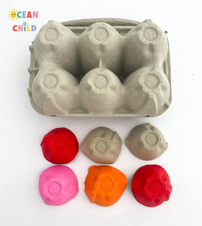 Recycled egg carton craft