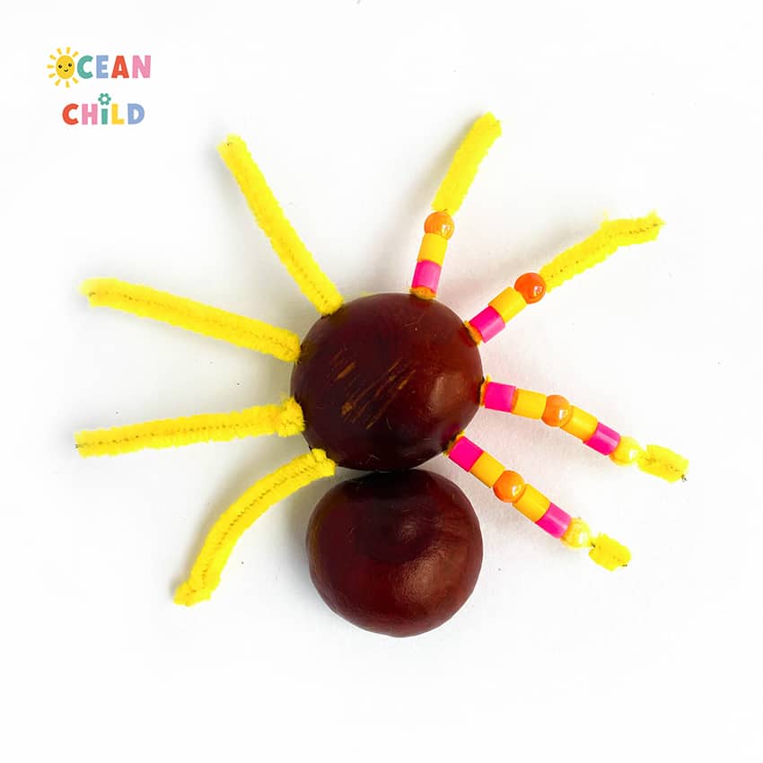 Pipe cleaner and chestnut spider craft