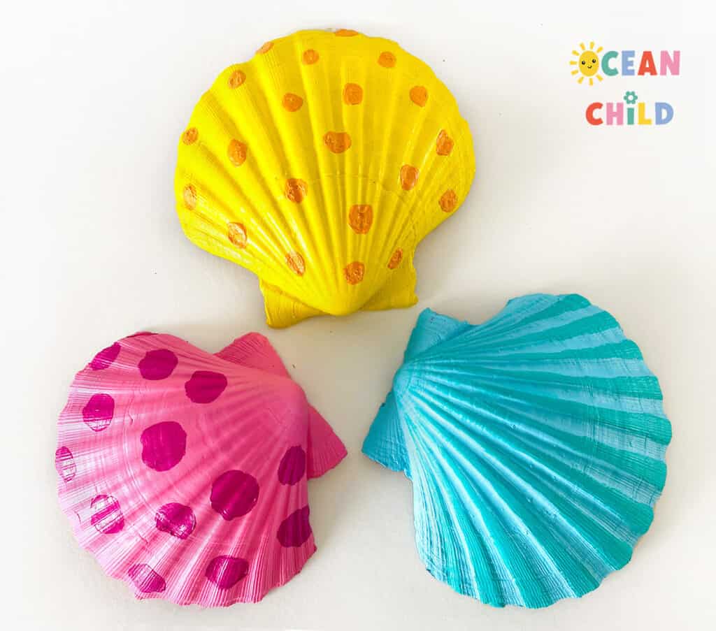 Painted shell craft for kids