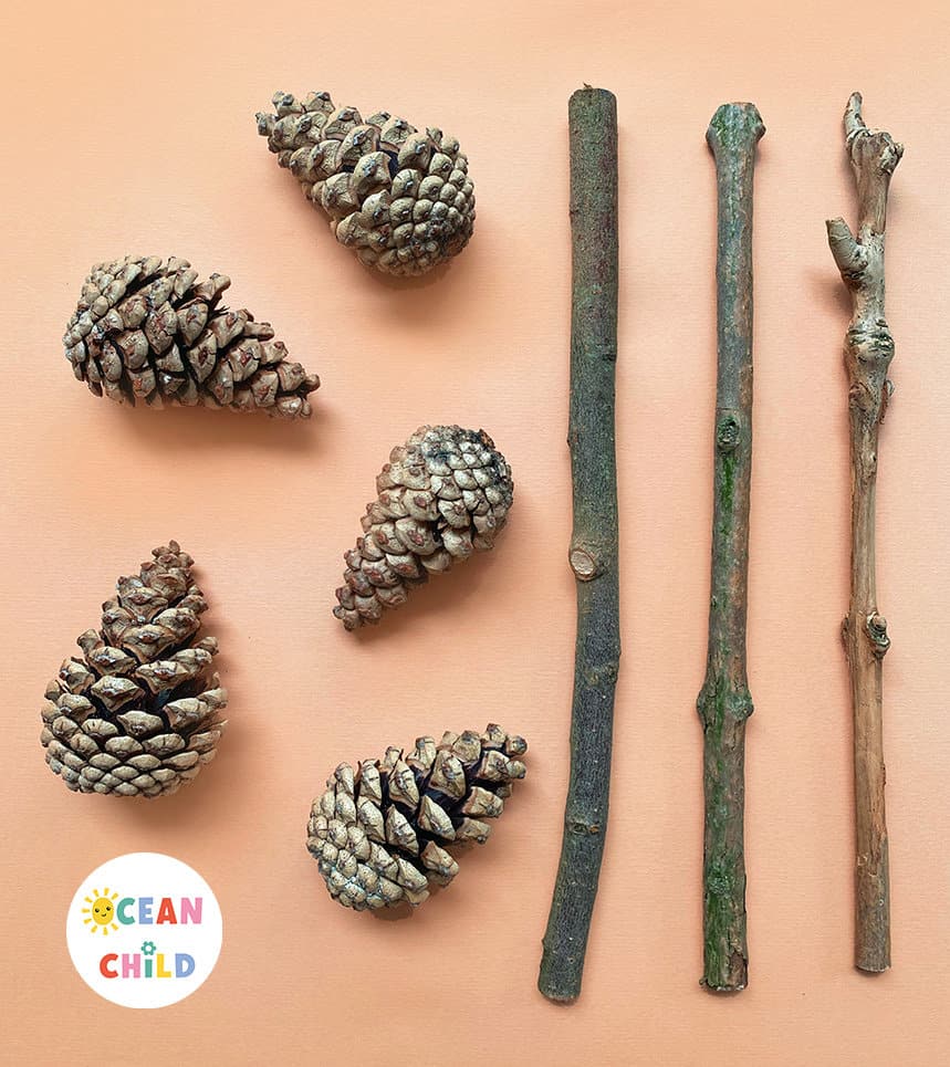 Nature craft supplies, pinecones and sticks