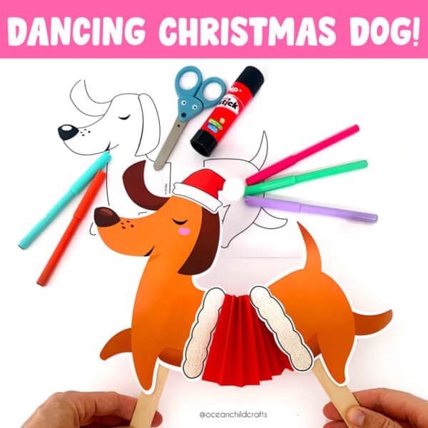 Fun Christmas Activity Dog