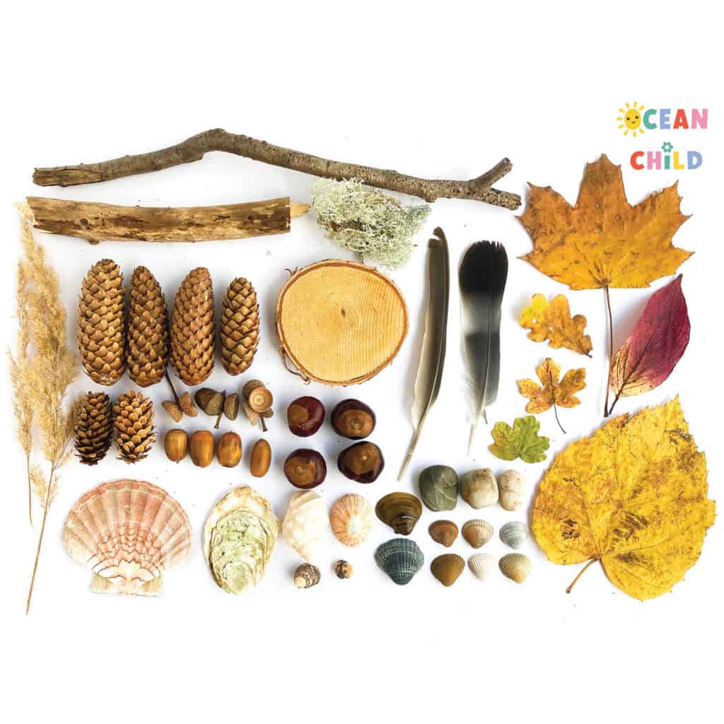 Nature Craft Supplies