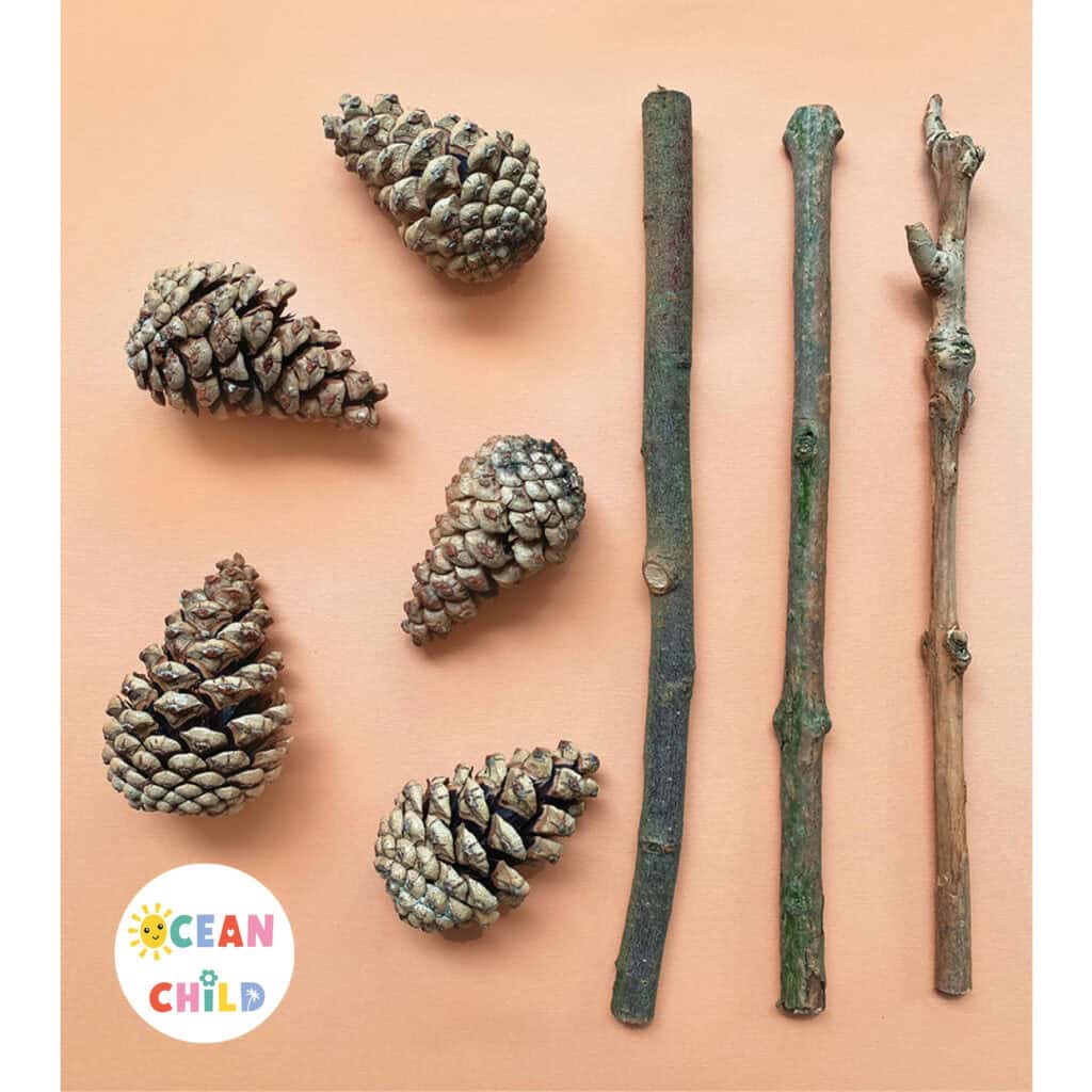 Nature Crafts Supplies