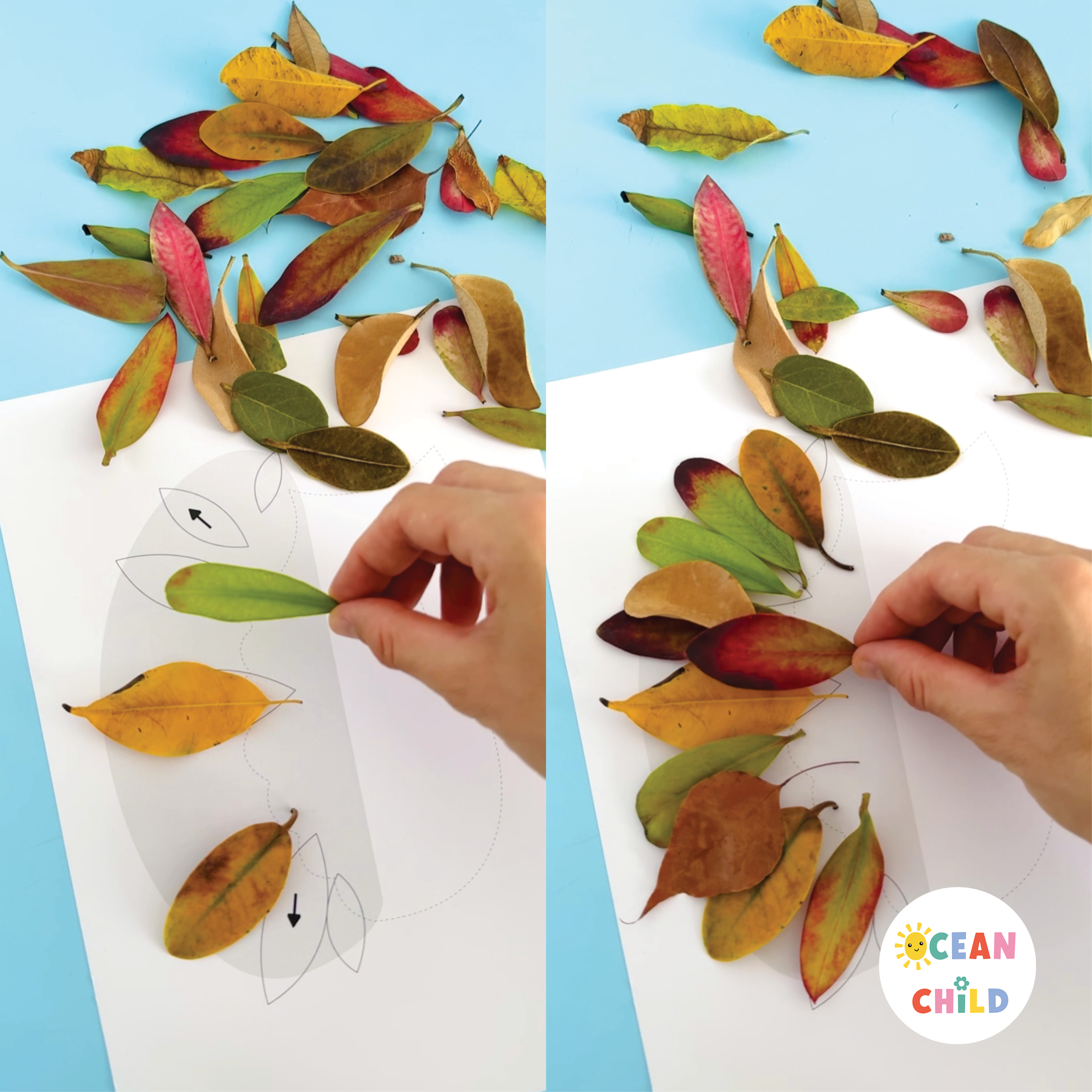 Nature Craft With Leaves